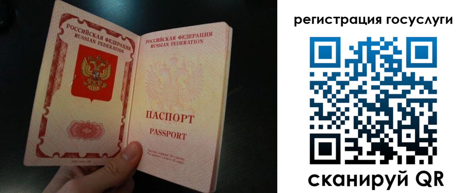 временная регистрация поиск в Ростове-на-Дону